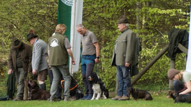 Hundepräsentation 2023